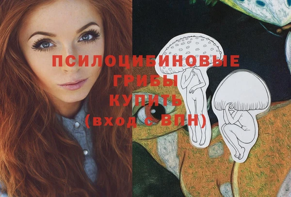 COCAINE Гусев