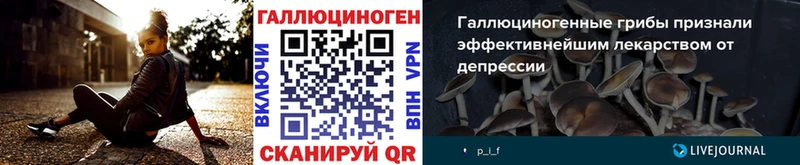 Псилоцибиновые грибы прущие грибы сколько стоит Зеленодольск